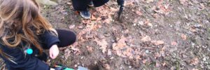 Schüler pflanzen Vielfalt: Weiß-Ferdl-Mittelschule erblüht durch Bulbs4Kids-Aktion
