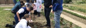 Pflanzfreude an der Weiß-Ferdl-Schule geht weiter – Zweiter Pflanztermin mit prominenter Unterstützung