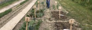 Video-Einblick: Schulacker-Projekt begeistert Stadt Altötting