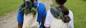 Rückblick: Unser erstes Jahr mit dem Schulacker