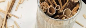 Wildbienenprojekt der Klasse 5a