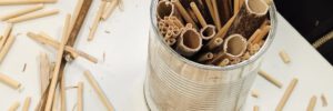 Wildbienenprojekt der Klasse 5a