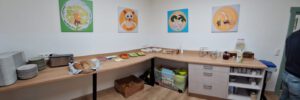 Gemeinsames Projekt für gesunde Ernährung und Schulentwicklung